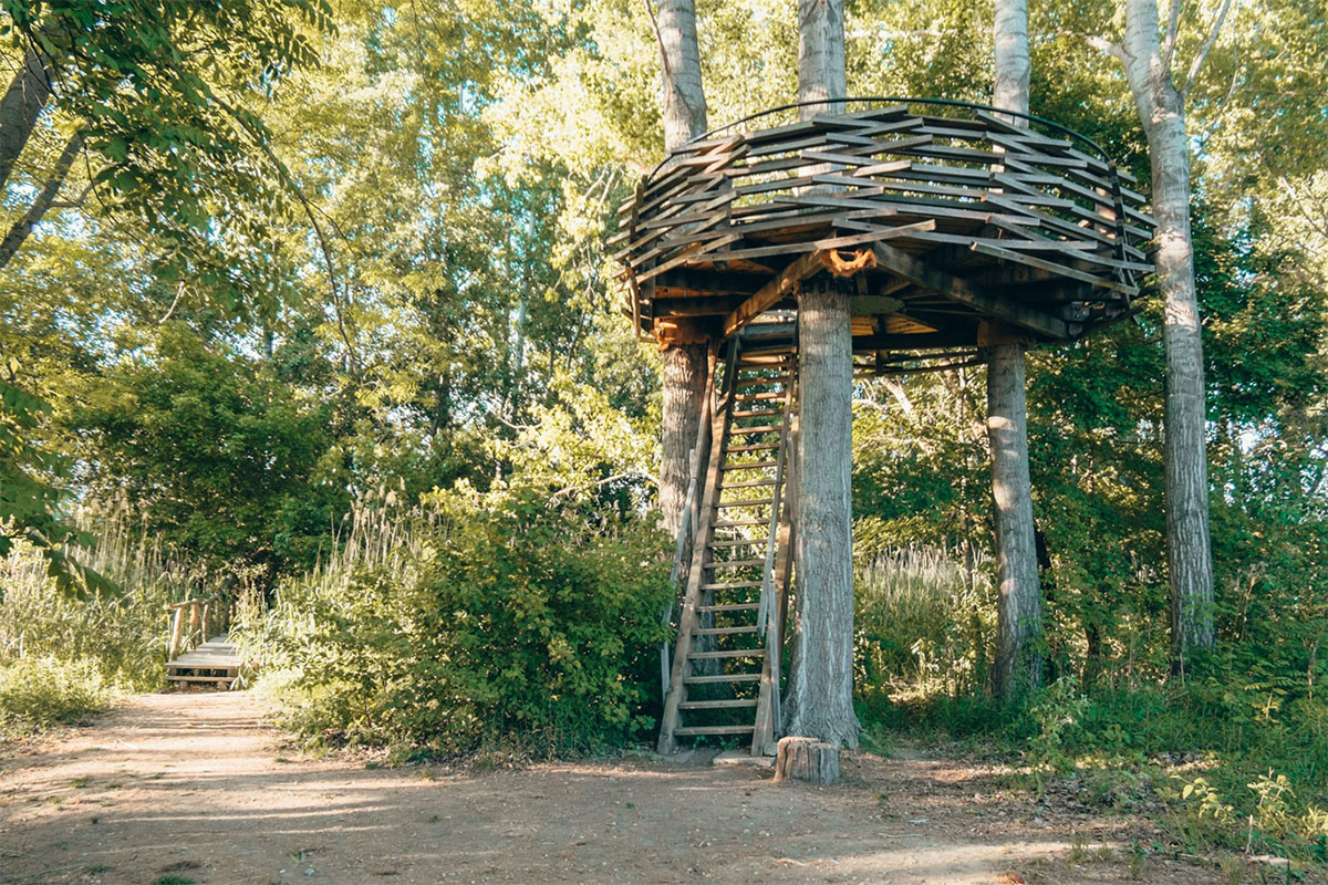 Rozhladna-hniezdo-bobri-hrad-4